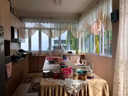 Changi Heights (D17), Detached #463116291